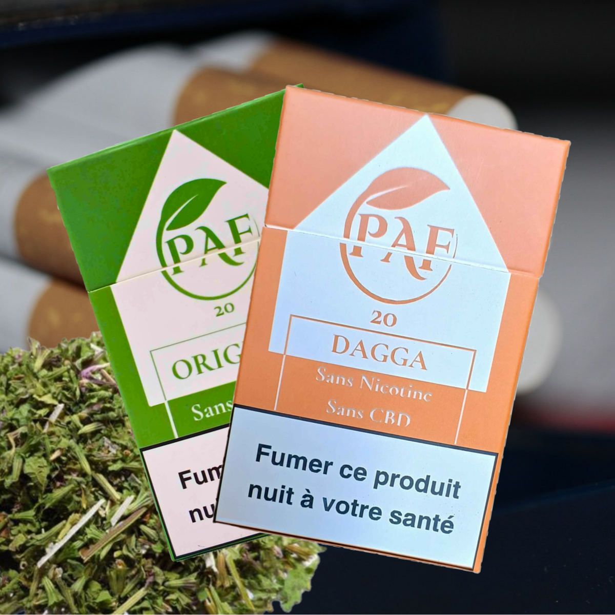 Cigarettes de plantes sans tabac sans nicotine