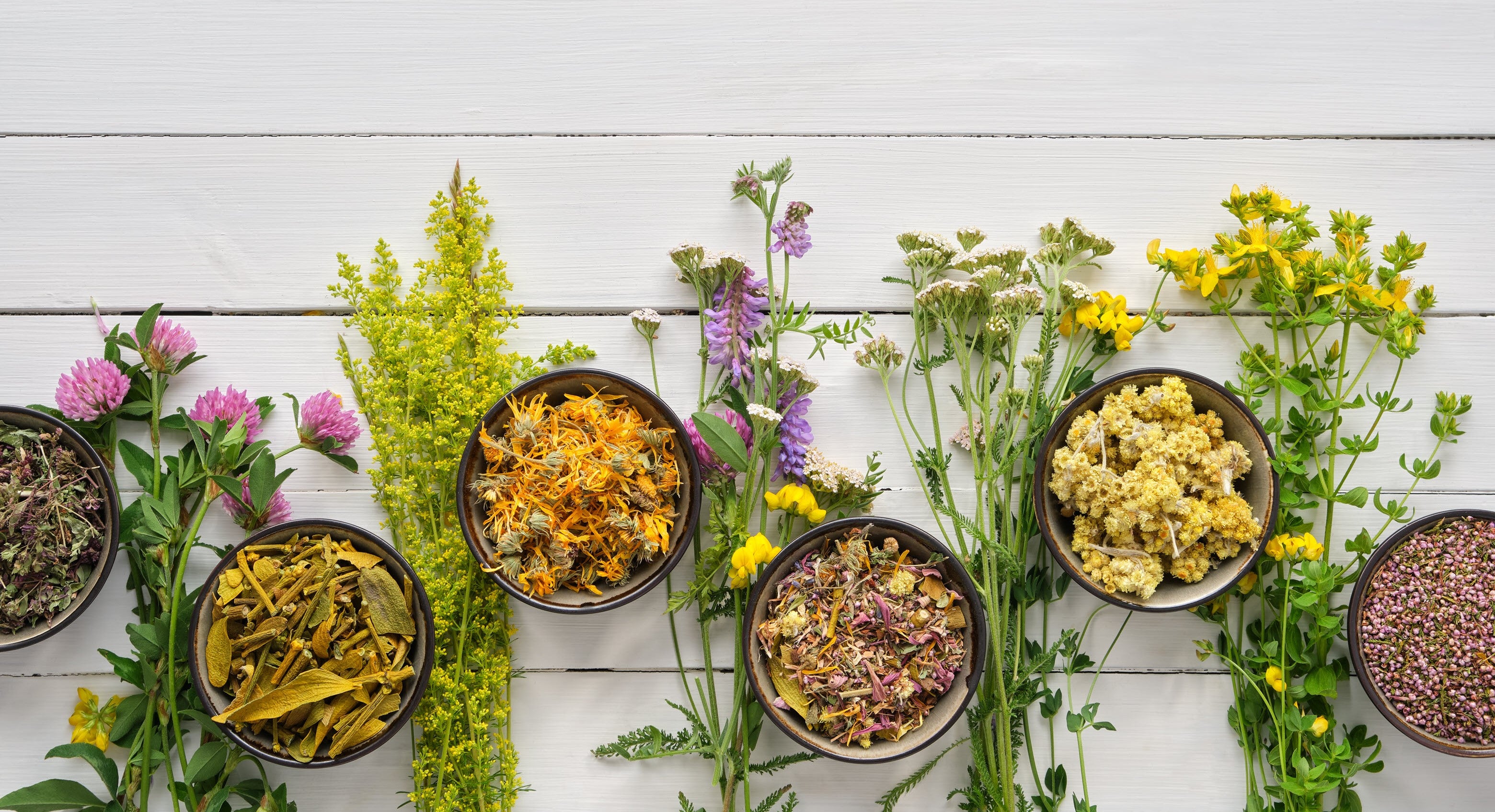plantes qui se fument sans nicotine