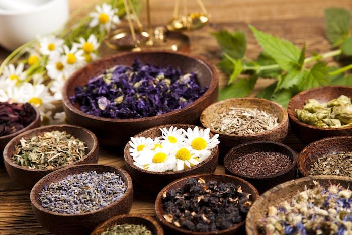 plantes qui se fument bio