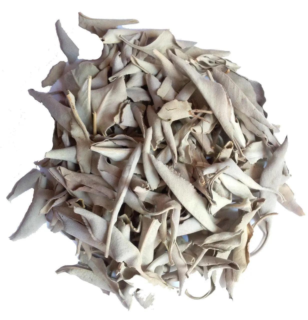 Sauge officinale - PlantesAFumer