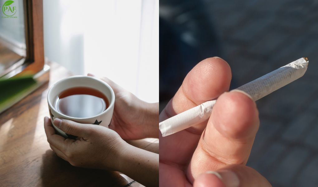 Est-il bon de fumer du thé ?