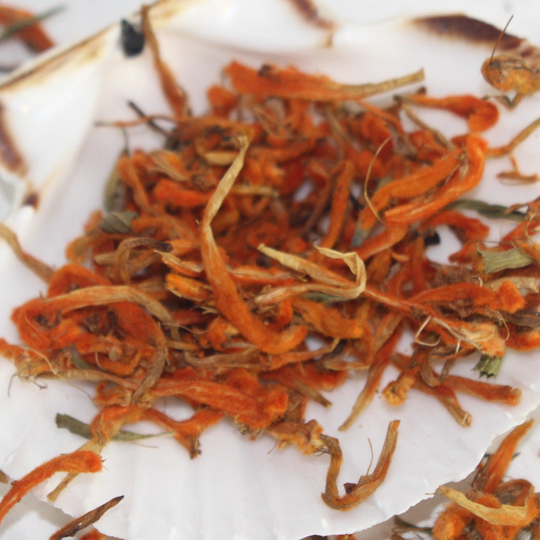 La queue-de-lion : usages des fleurs sans THC