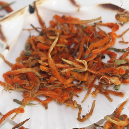 La queue-de-lion : usages des fleurs sans THC
