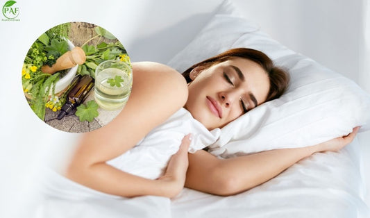 Plantes pour dormir : laquelle choisir pour un sommeil naturel ?