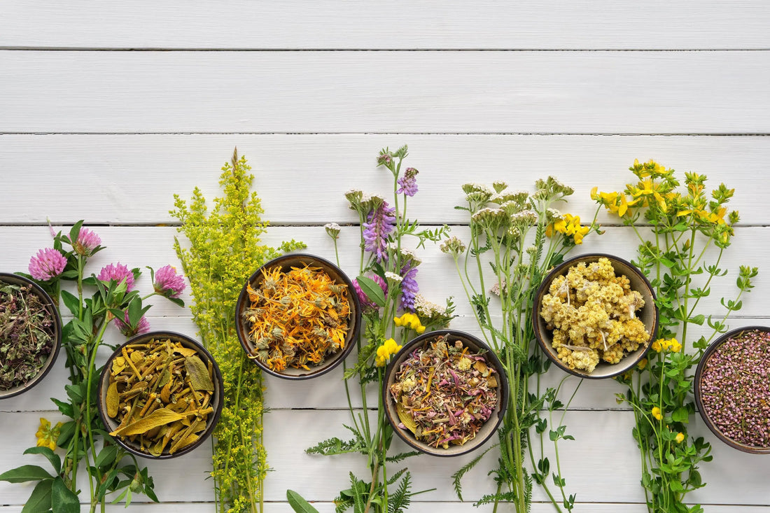 Les 10 plantes à fumer en substitut au tabac - PlantesAFumer