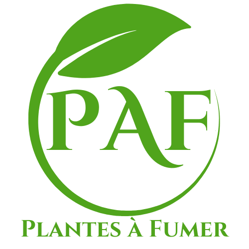 PlantesAFumer : Une alternative Saine au tabac et au chanvre ? - PlantesAFumer