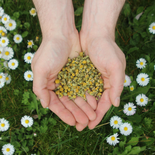 Les Bienfaits des Fleurs Aromatiques - PlantesAFumer