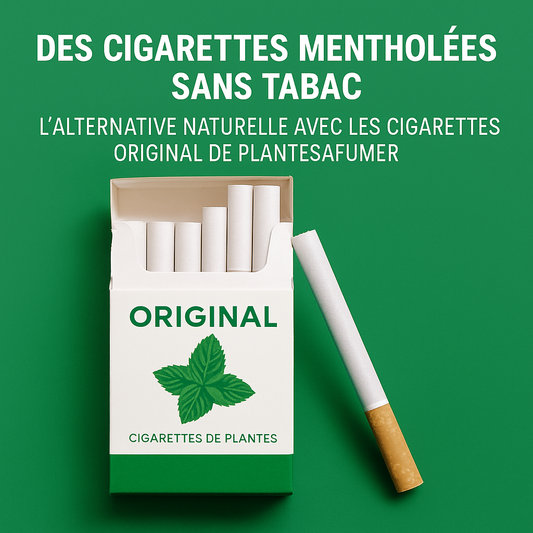 Des cigarettes mentholées sans tabac : l'alternative naturelle aux cigarettes