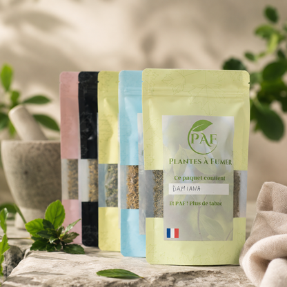 Sachets de substituts au tabac (au choix)
