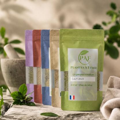sachets plantes aromatiques a fumer