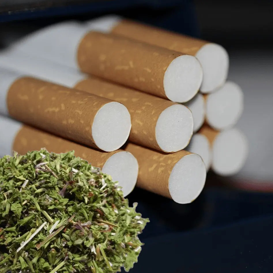 Cigarettes sans tabac